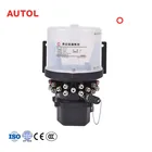 ALP30 Automatic 24v Electric Grease Pump