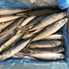 pouches frozen iqf pacific mackerel for tuna bait