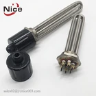380v 3kw 4.5kw 6kw 9kw 12kw 18kw Electric Tubular Heating Immersion Heater Element with 2"BSP Thread for Water Tank