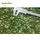 Spring onion frozen IQF vegetable typical green size of 3-10 mm
