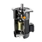 ZD ZV SMALL AC GEAR MOTOR (4# ) , Single - Phase , Vertical