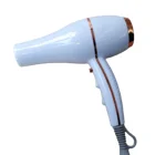 2000W salons hairdresser dryer hair China hair dryer