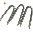 China Supplier Galvanized Fencing Staple / U Type Nail