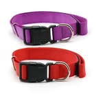 Nylon Dog Collar Leash Combinations,One Size Fits all Dogs Pet Collar Leash Supplies