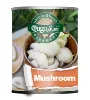 /product-detail/canned-mushroom-62086358897.html