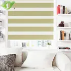 Manual or motorized zebra shades blackout sun blind window