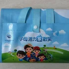 Portable promotion foldable laminated pp woven beach mat