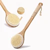 /product-detail/bamboo-handle-bath-brush-bristle-clean-bath-62085029161.html