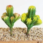 Hotsale mini Artificial Succulents tropical plant Cactus unpotted DIY Flower arrangement accessories for house decoration