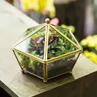 Vintage decorative jewelry transparent glass and brass tone air plant seeder metal tilt top swing cover flower pot