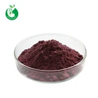Solvent Extraction Bulk Manufacturer Bulk Sale Organic Grape Seed Extract
