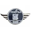 Hot Selling Metal Brass Military Wing Pilot Wing Eagle Shape Lapel Pin Badge for activity