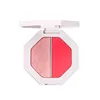 2019 new blush palette blush powder professional manufacturer OEM