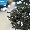 30L Christmas Decoration LED Small Battery Operated String Light Bulb
