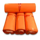 Custom Logo Express Courier Eco Friendly Mailing Bags