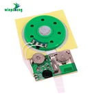 Happy Birthday Voice Recording Sound Chip For Music Greeting Card