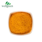 Hot sale feed supplement yellow brown water soluble raw material turmeric powder