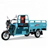 LED light 800W 3-Wheel Electric Tricycle Mini Cargo Tricycle Utility Truck Vehicle