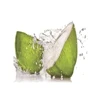Malaysia refreshing coconut water export for help in balancing PH of body