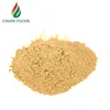 Wholesales dried 100% nature 80-120mesh dehydrated garlic powder