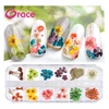 Professional Good Quality Natural Dry Flower Nail Art Decoration 3D Decor Nail Dry Flower