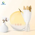 Sunrise alarm clock digital clock wake up light with FM radio digital clock wake up light with FM radio