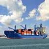 Forwarder Guangzhou sea Cargo Shipping To Italy