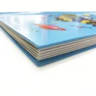 Custom Hot sale children learning foldable color photo book printing services