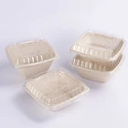 Square Sugarcane Bagasse Pulp Bowls Biodegradable