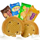 Cream Coconut Cream Biscuits Wholesale Assorted Sandwich Cream Filling Biscuit Cookie Milk Coconut Chocolate Flavor