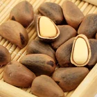 Pine Nuts Pine Nuts Organic Cheap Bulk Open Pine Nut/pine Seed/pine Nuts In Shell