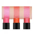 OEM Makeup Blush Make Your Own Brand blusher brush Stick with Stock