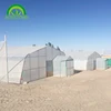 used sale greenhouse construction for vegetable