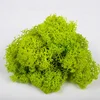 Export High Quality Green Color Preserved Moss Wreath