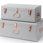 Contemporary Designed Clear Storage Steel Metal Trunk with gold accessories