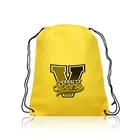 promotional 210D polyester nylon drawstring backpack bag