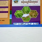 Free Sample Logo Print Sticker Custom Printing