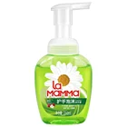 Bulk liquid natural foaming hand soap factory price