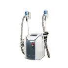new trend product freeze lose weight kryolipolyse devices