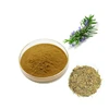 Lower Price 100% Natural Rosemary Extract With High Quality Rosemary Leaves Extract Powder 5% Rosmarinic Acid