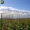 /product-detail/great-performance-plastic-sheet-tropical-greenhouse-62107308609.html