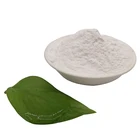 Factory Supply Pure Sodium Alginate Food Additive 9005-38-3 for Thickeners