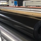 High quality waterproof HDPE plastic geomembrane for pond liner