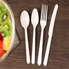 Eco Biodegradable Disposable Cornstarch CPLA Cutlery Set,Bio based Cutlery(Knife,Fork,Spoon)