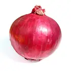 Fresh red onion for wholesale