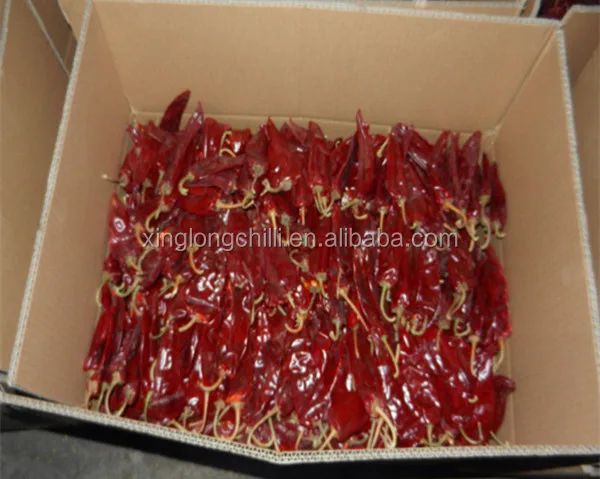 low price wholesale sweet yidu chilli pepper