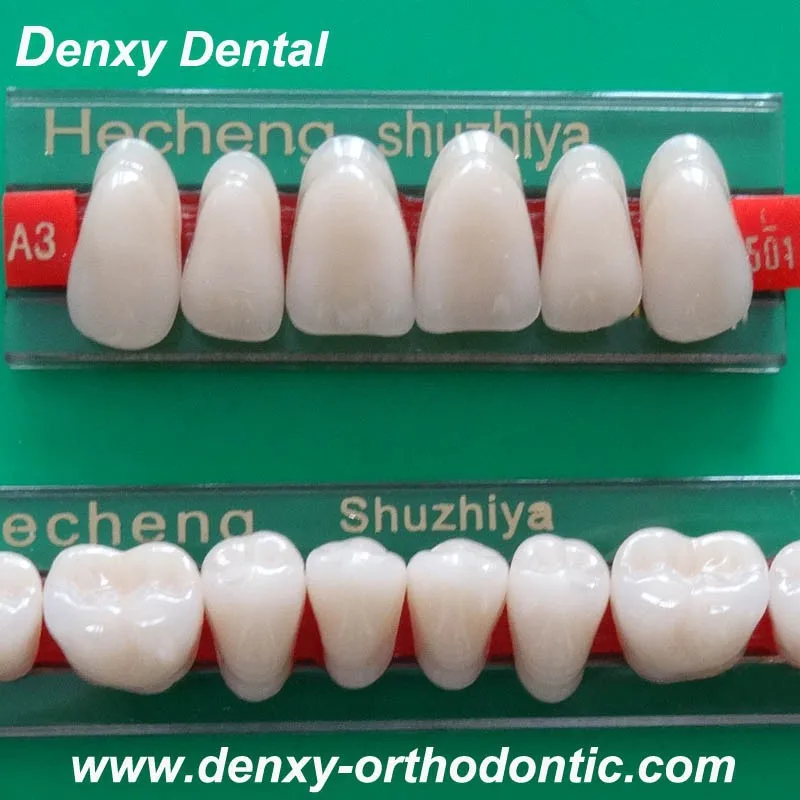 Good Flexibility /dentist Dental Resin Teeth For Dental Material Buy