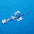 Disposable Safety IV Cannula IV Cannula Sizes And Uses Butterfly Different Types Needle Types Manufacturers