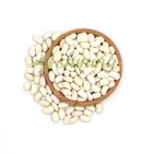 New crop good quality dried large white kidney beans