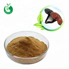 Best Price Reishi Mushroom Extract powder
